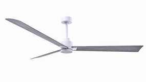 Alessandra 72"Ceiling Fan Matte White outdoor exterior fans for patio cooling