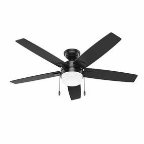 Anisten 52"Ceiling Fan Matte Black home fans with built-in timer settings