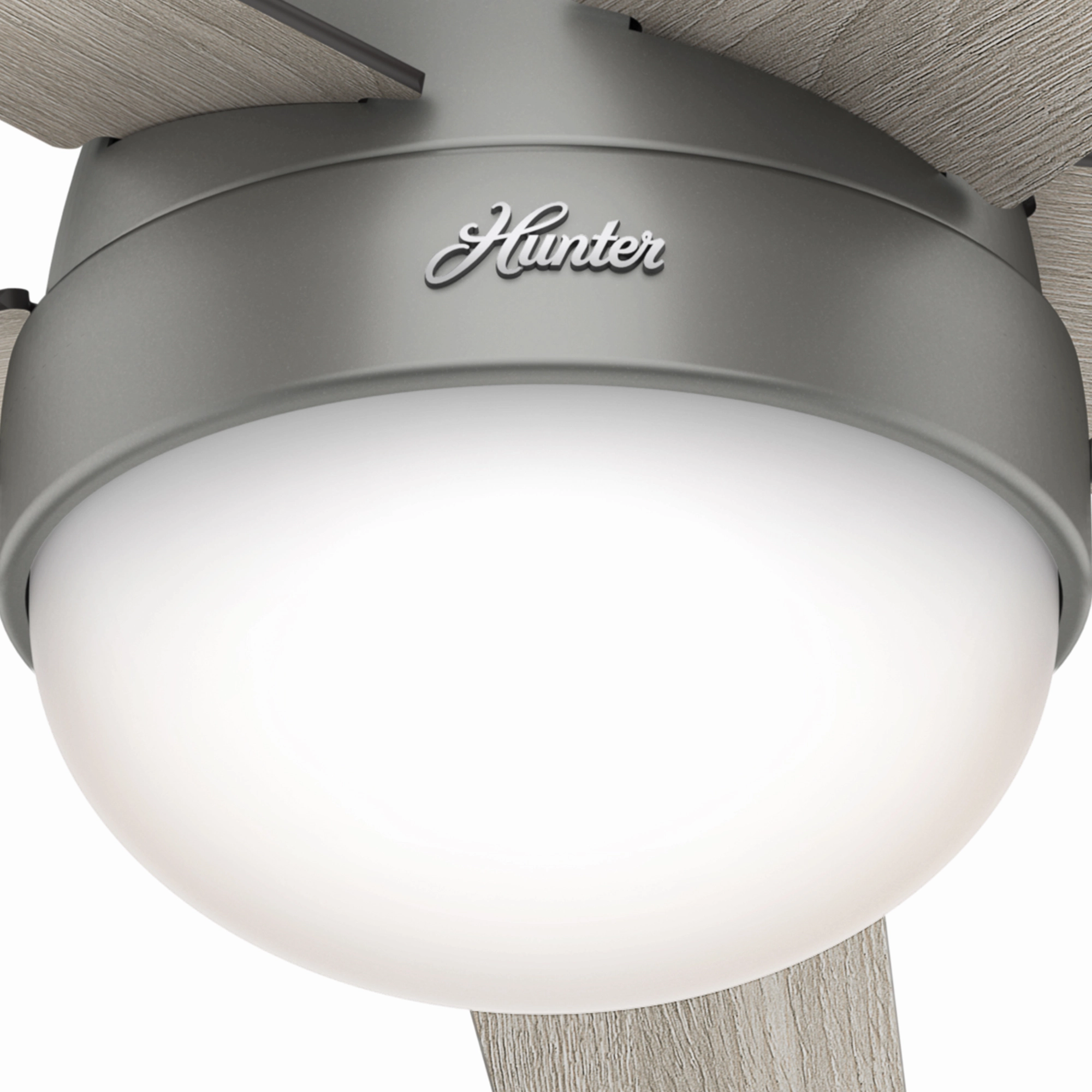 Anslee 46"Ceiling Fan Matte Silver