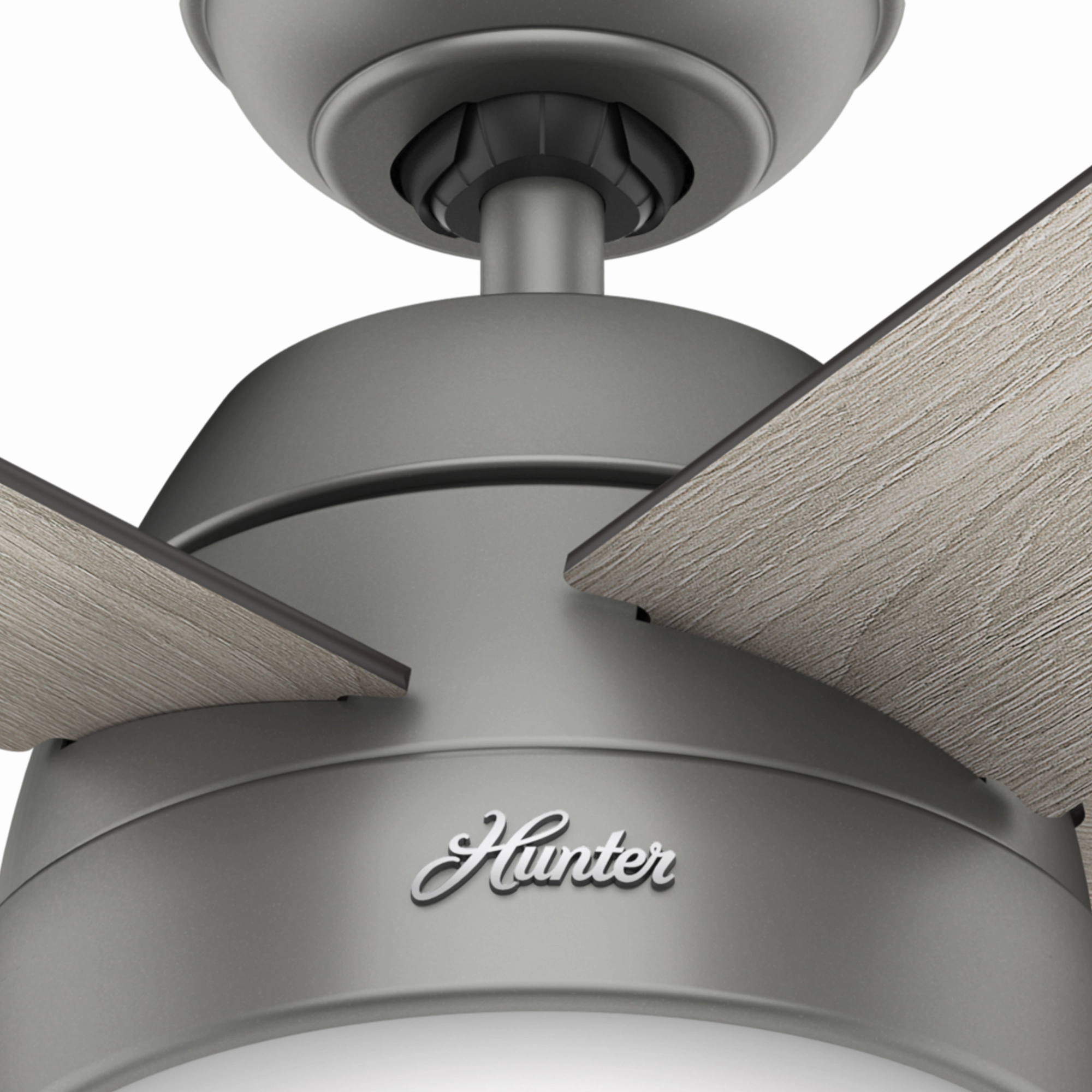Anslee 46"Ceiling Fan Matte Silver