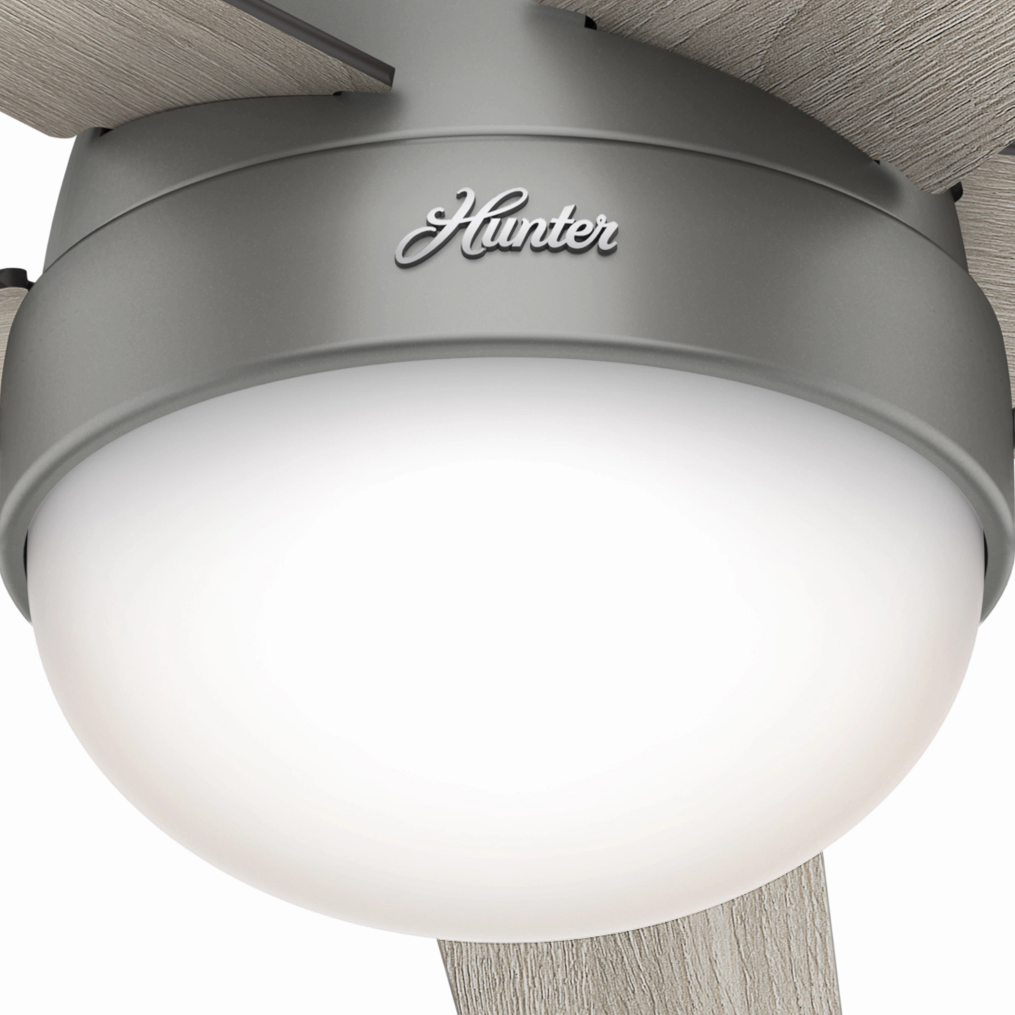 Anslee 46"Ceiling Fan Matte Silver