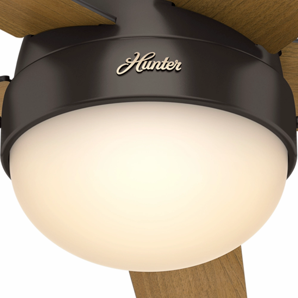 Anslee 46"Ceiling Fan Premier Bronze