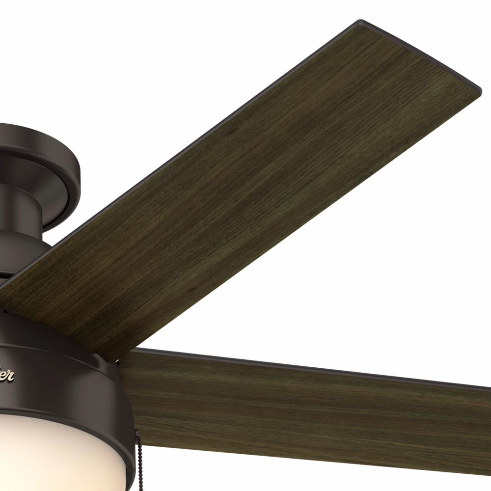 Anslee 46"Ceiling Fan Premier Bronze