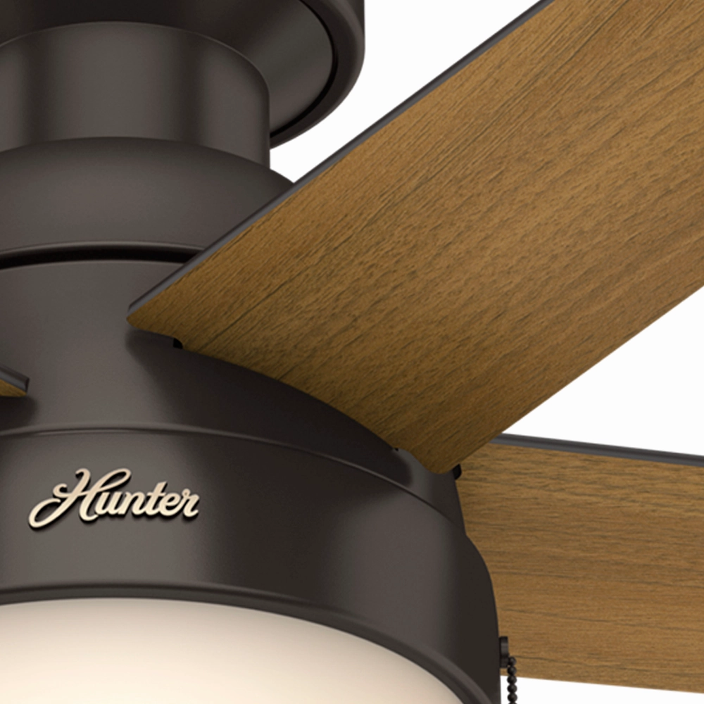 Anslee 46"Ceiling Fan Premier Bronze