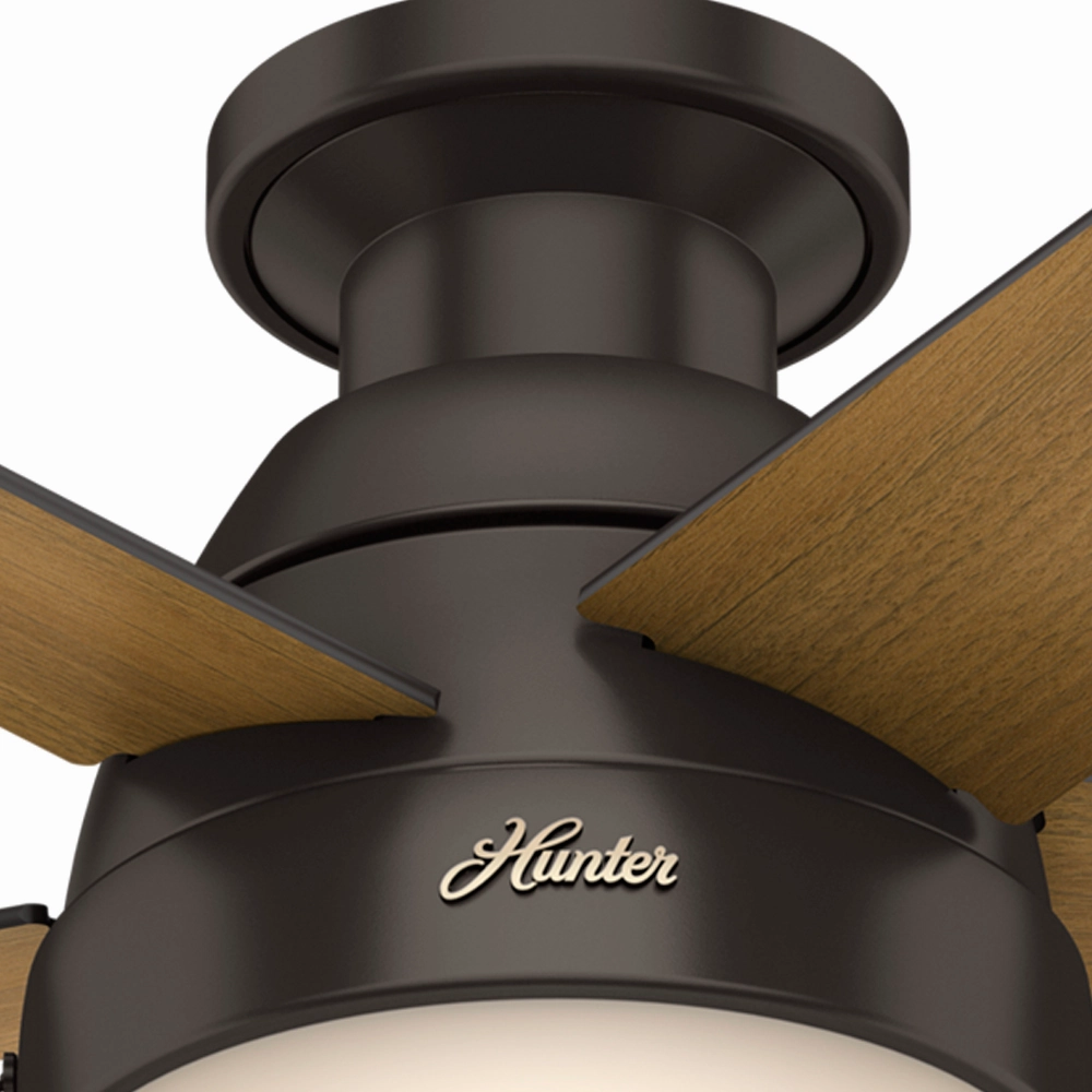 Anslee 46"Ceiling Fan Premier Bronze
