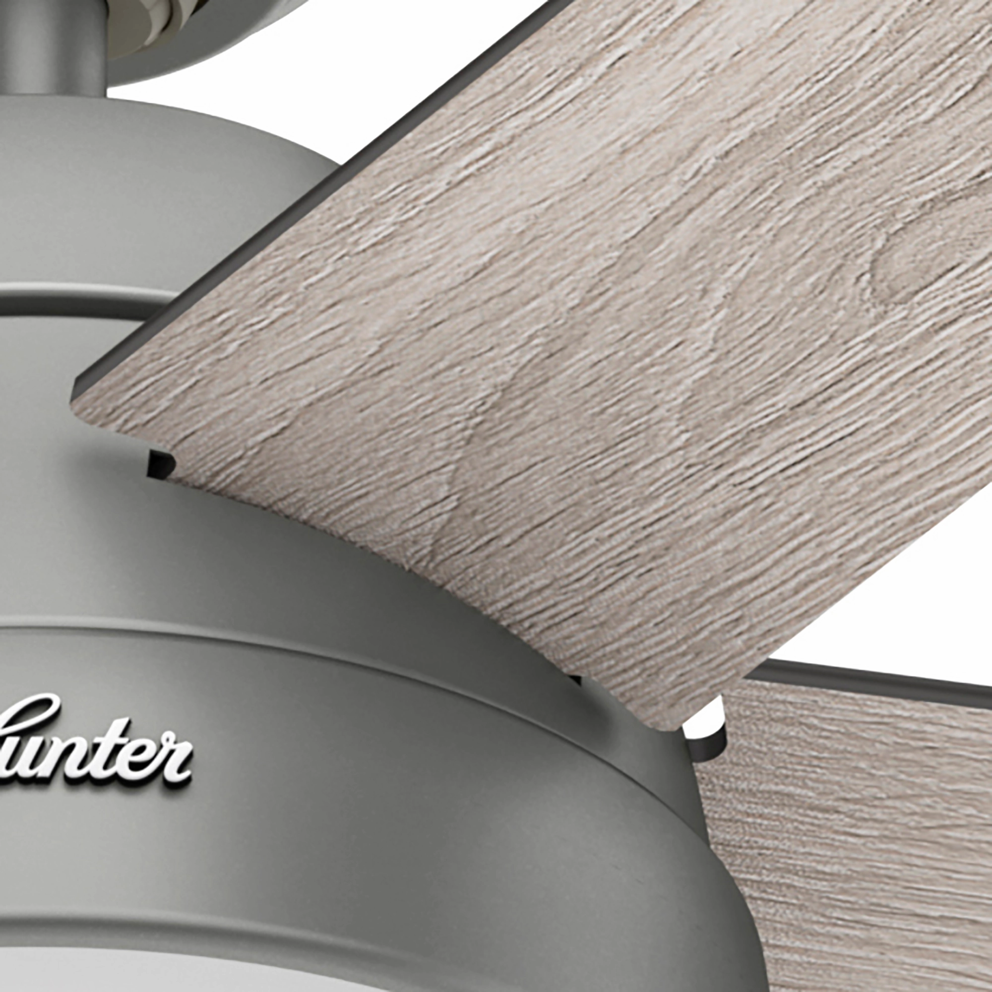 Anslee 52"Ceiling Fan Matte Silver