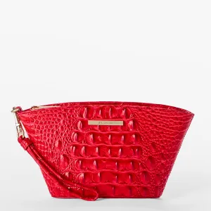 Ariana Bags Brahmin Clutches