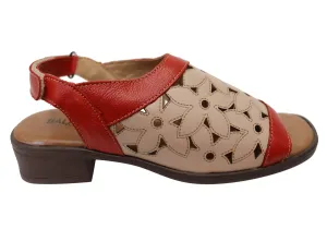 Balatore Rosie Womens Comfortable Brazilian Leather Low Heel Sandals Balatore Shoes