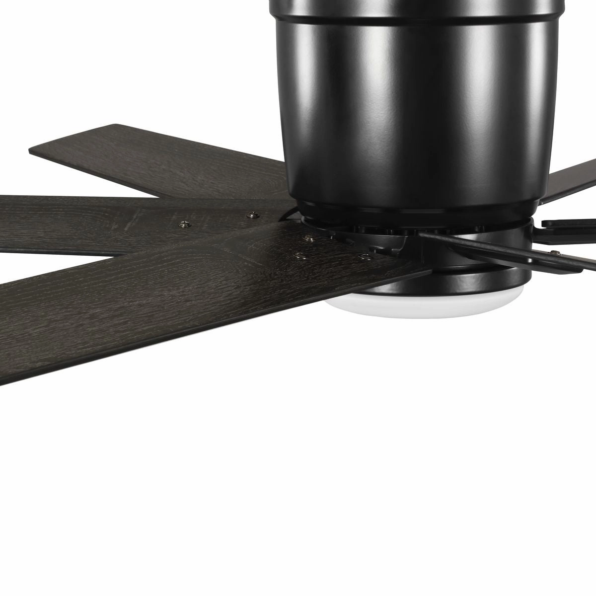 Bexar 54"Ceiling Fan Matte Black