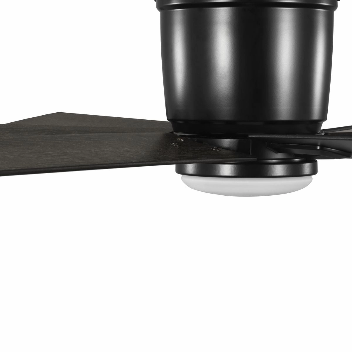 Bexar 54"Ceiling Fan Matte Black