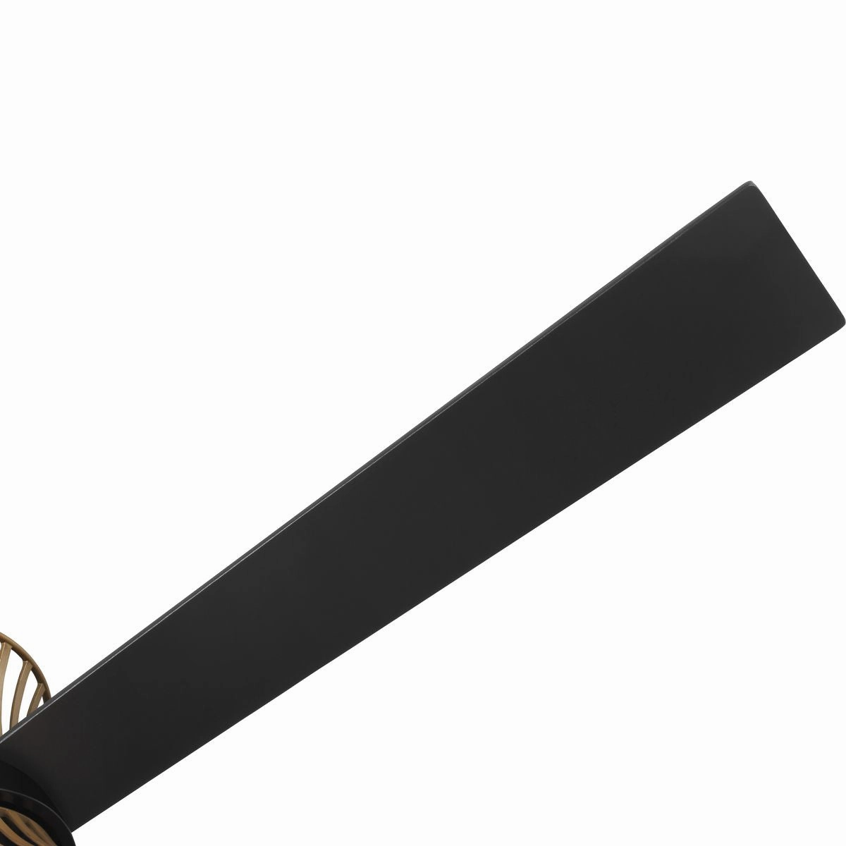 Bisbee 55"Ceiling Fan Matte Black