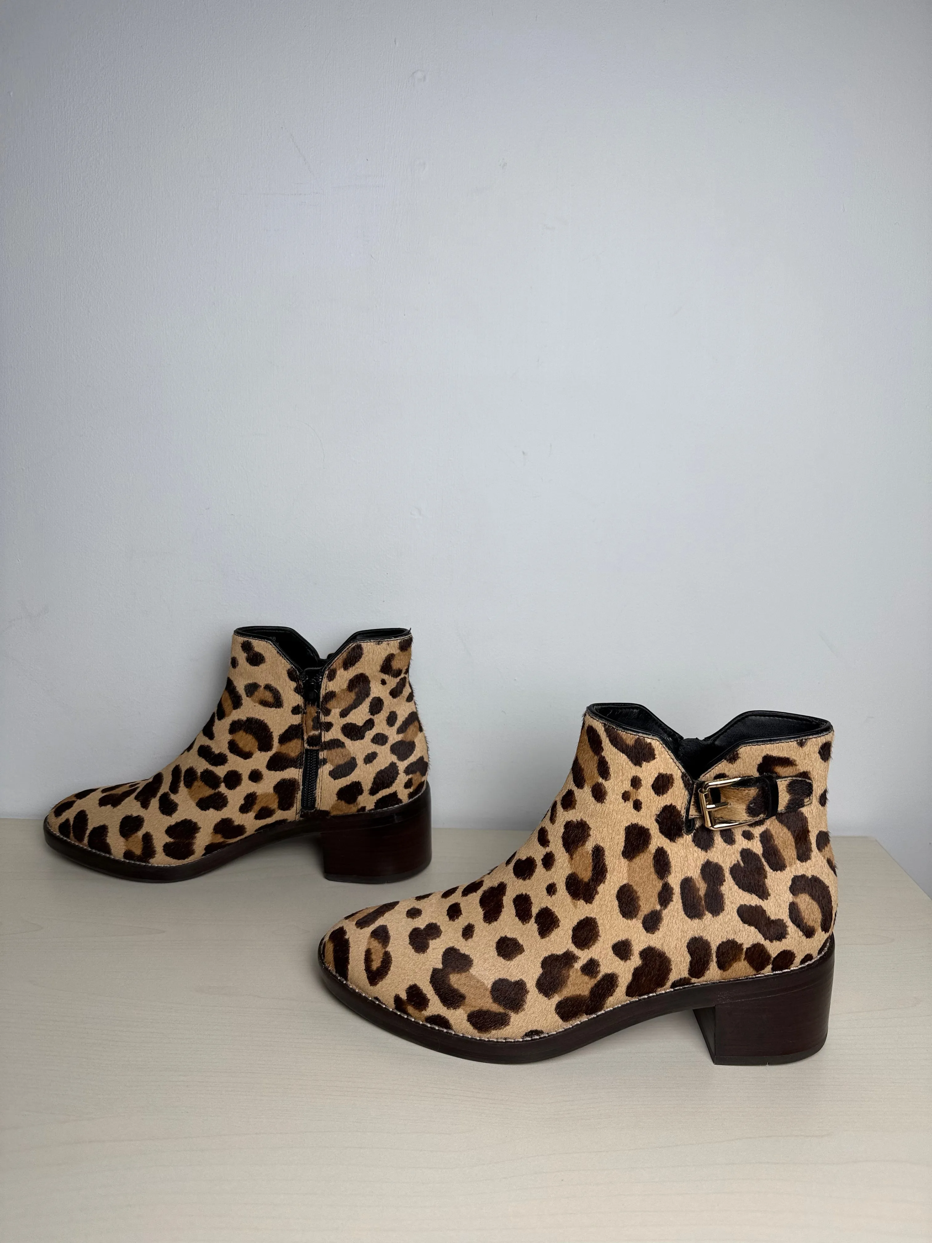 Boots Ankle Flats By Cole-haan In Leopard Print, Size: 8 cole haan