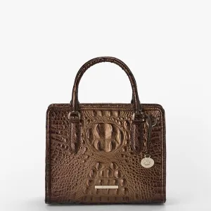 Cami Bags Brahmin Satchels