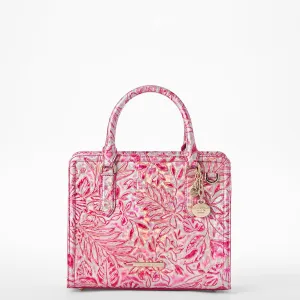 Cami Bags Brahmin Satchels
