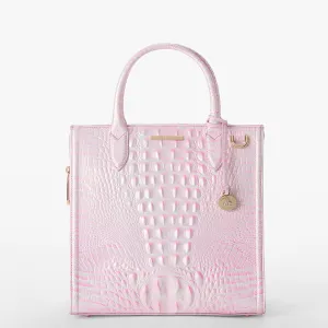Caroline Bags Brahmin Satchels