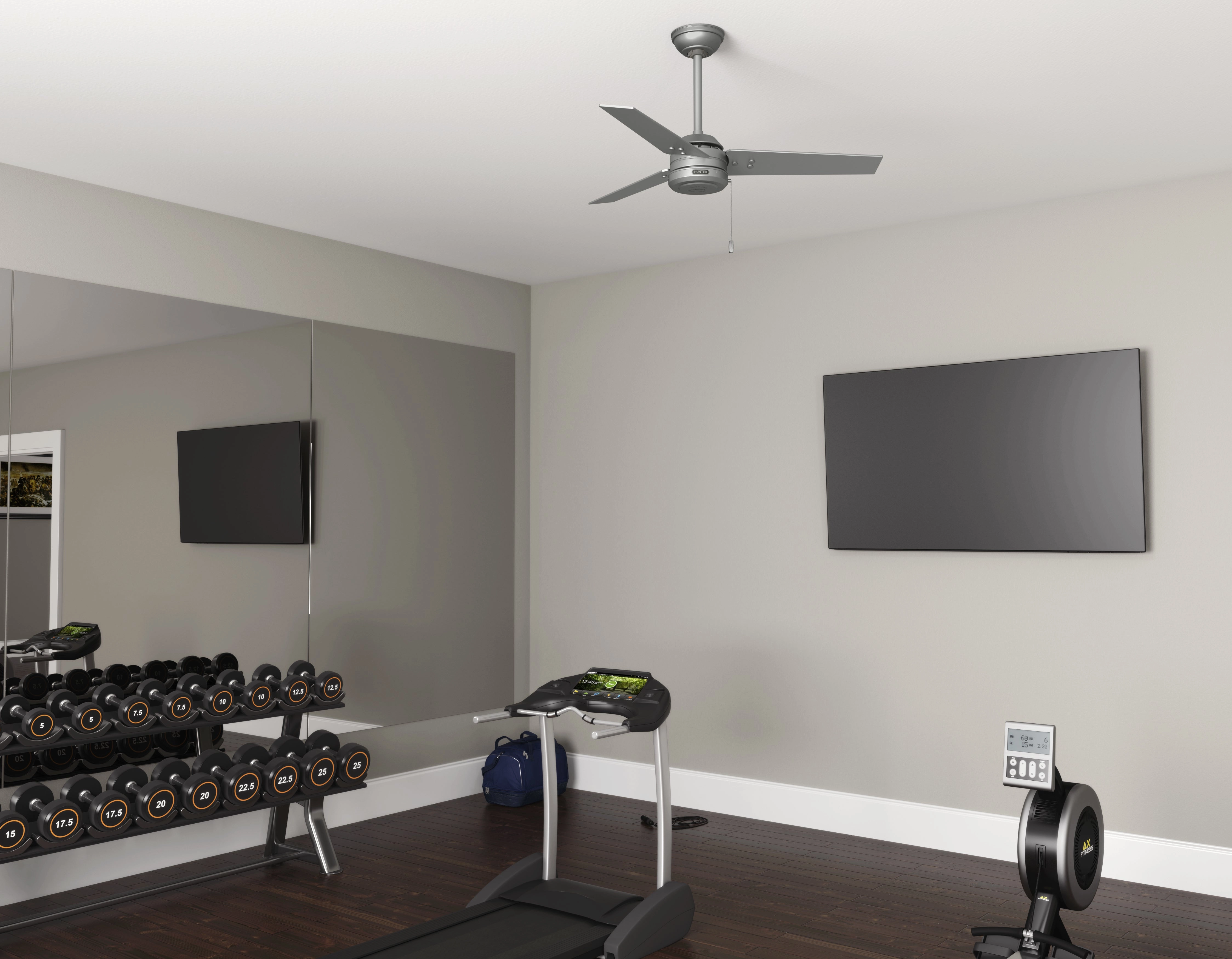 Cassius 44"Ceiling Fan Matte Silver