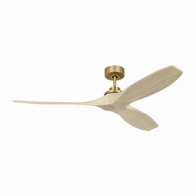 Collins 60"Ceiling Fan Burnished Brass quiet electric fans for home use