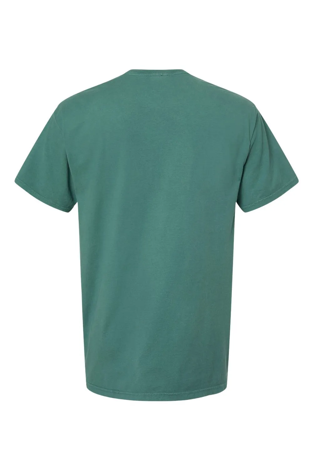 ComfortWash By Hanes Mens Short Sleeve Crewneck T-Shirt - Cactus Green  Buy at Clothing Comfortwash-By-Hanes