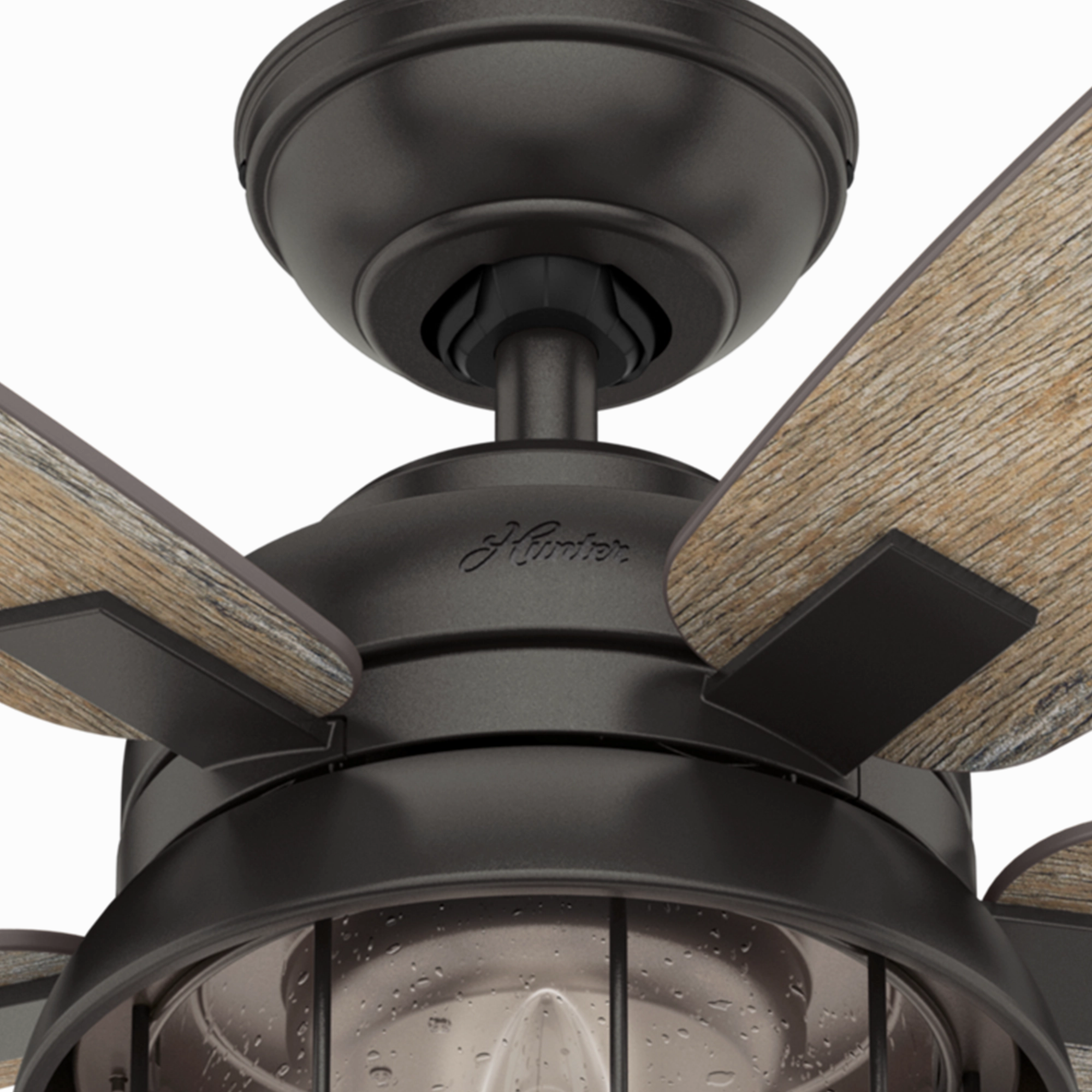 Coral Bay 52"Ceiling Fan Noble Bronze