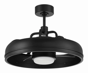 Craftmade Taylor 24" Smart Indoor/Outdoor DC Fandelier Ceiling Fan with Remote outdoor fans store with multiple collections