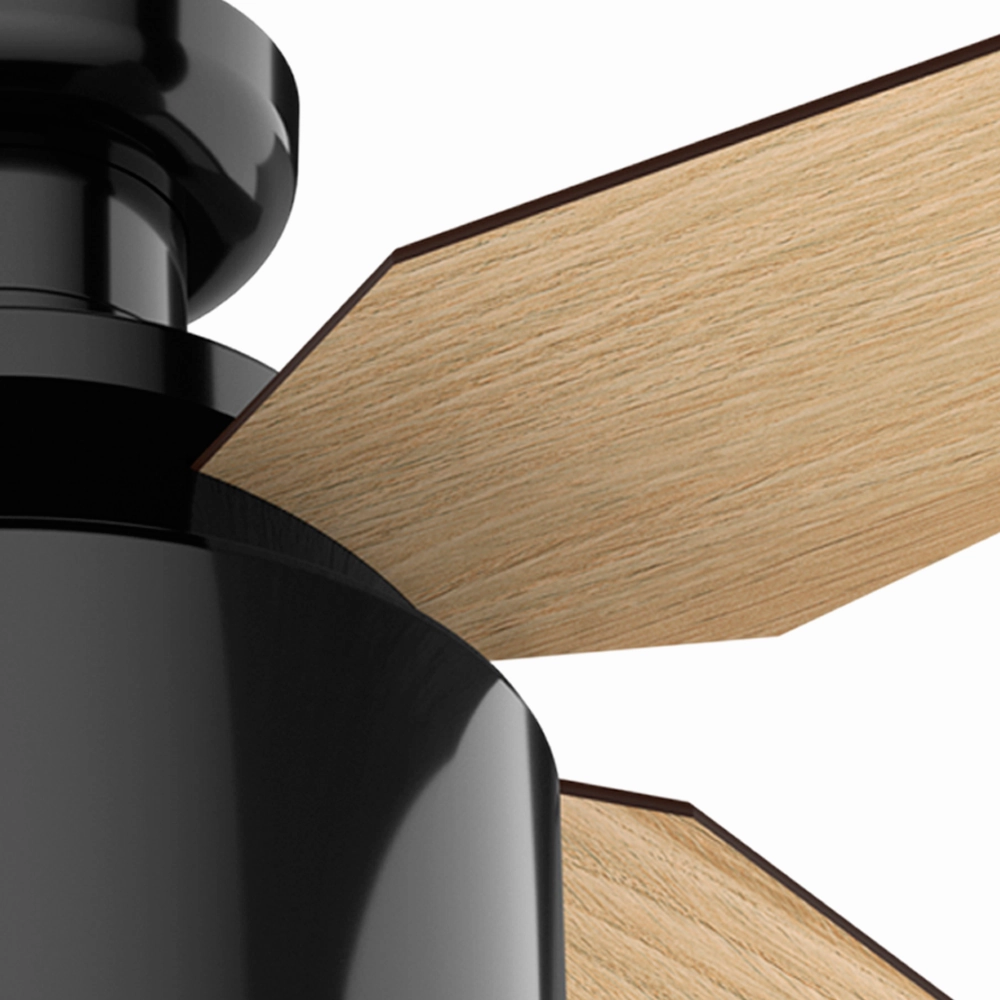 Cranbrook 52"Ceiling Fan Gloss Black