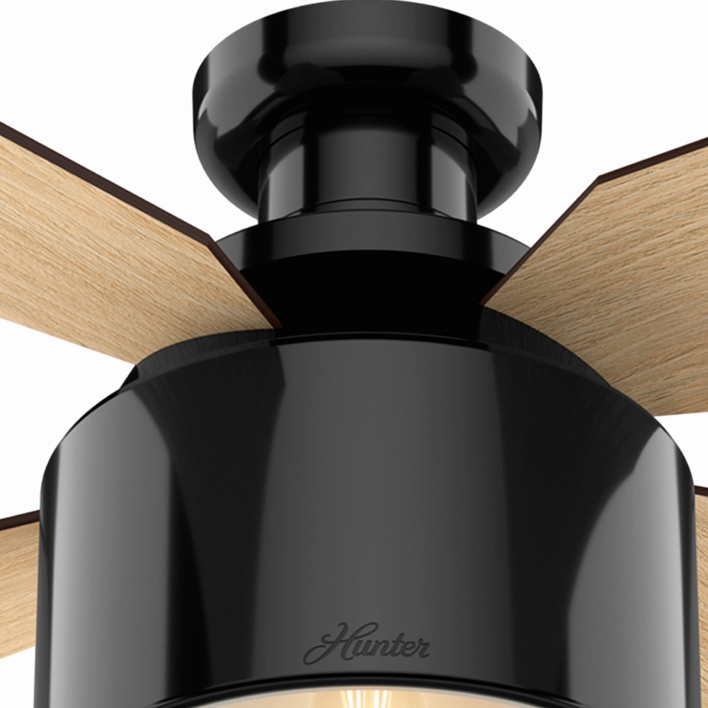 Cranbrook 52"Ceiling Fan Gloss Black