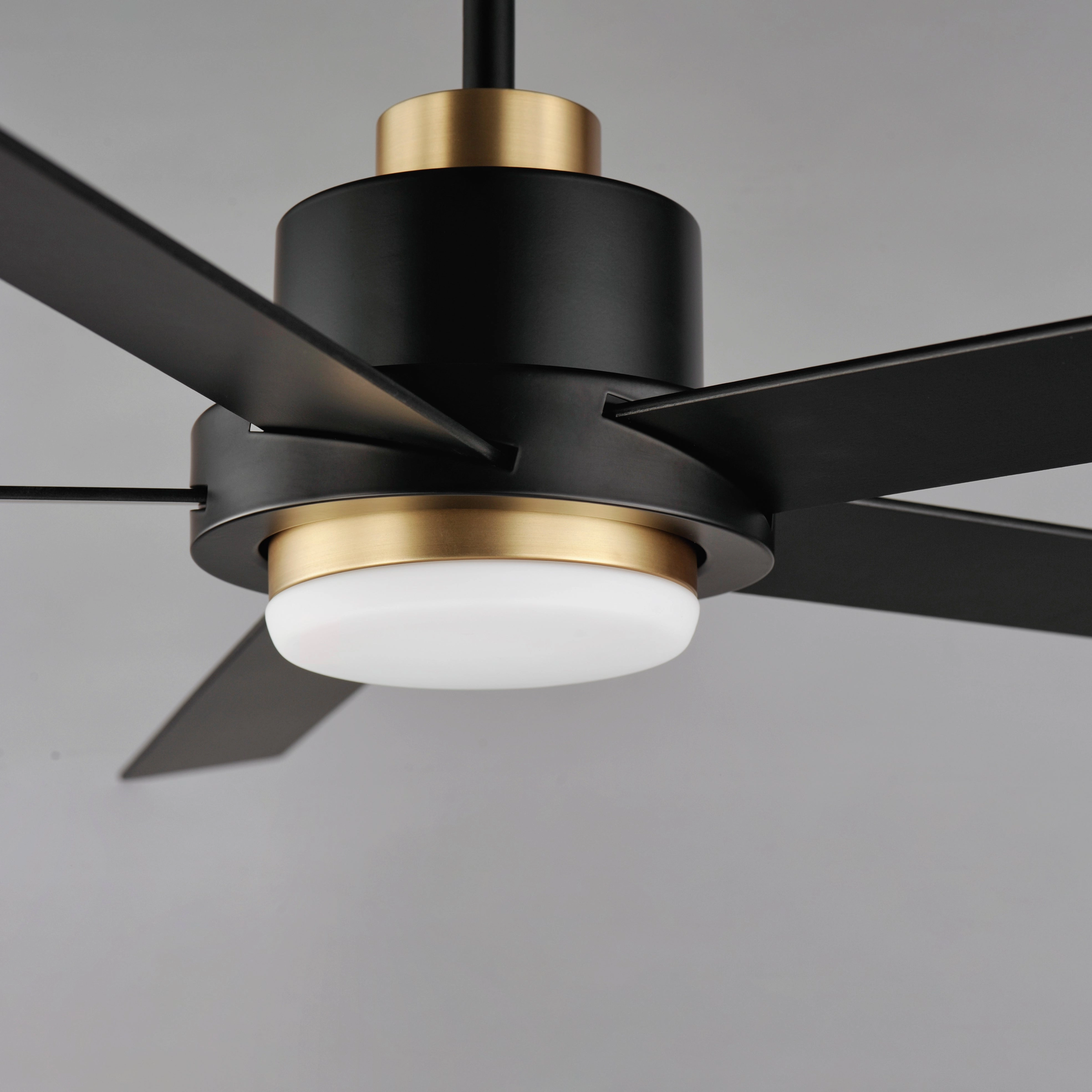 Daisy 60"Ceiling Fan Black / Gold