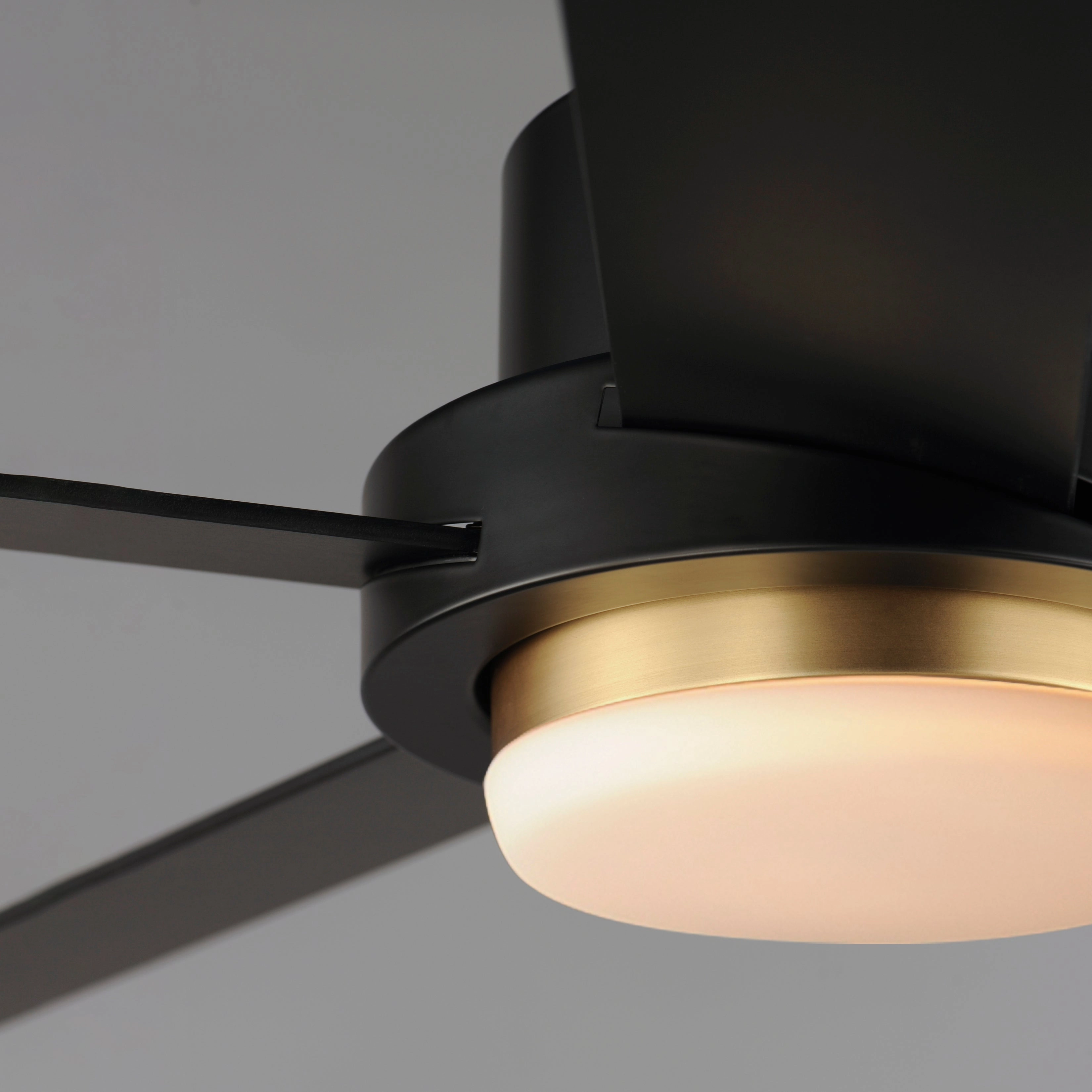 Daisy 60"Ceiling Fan Black / Gold
