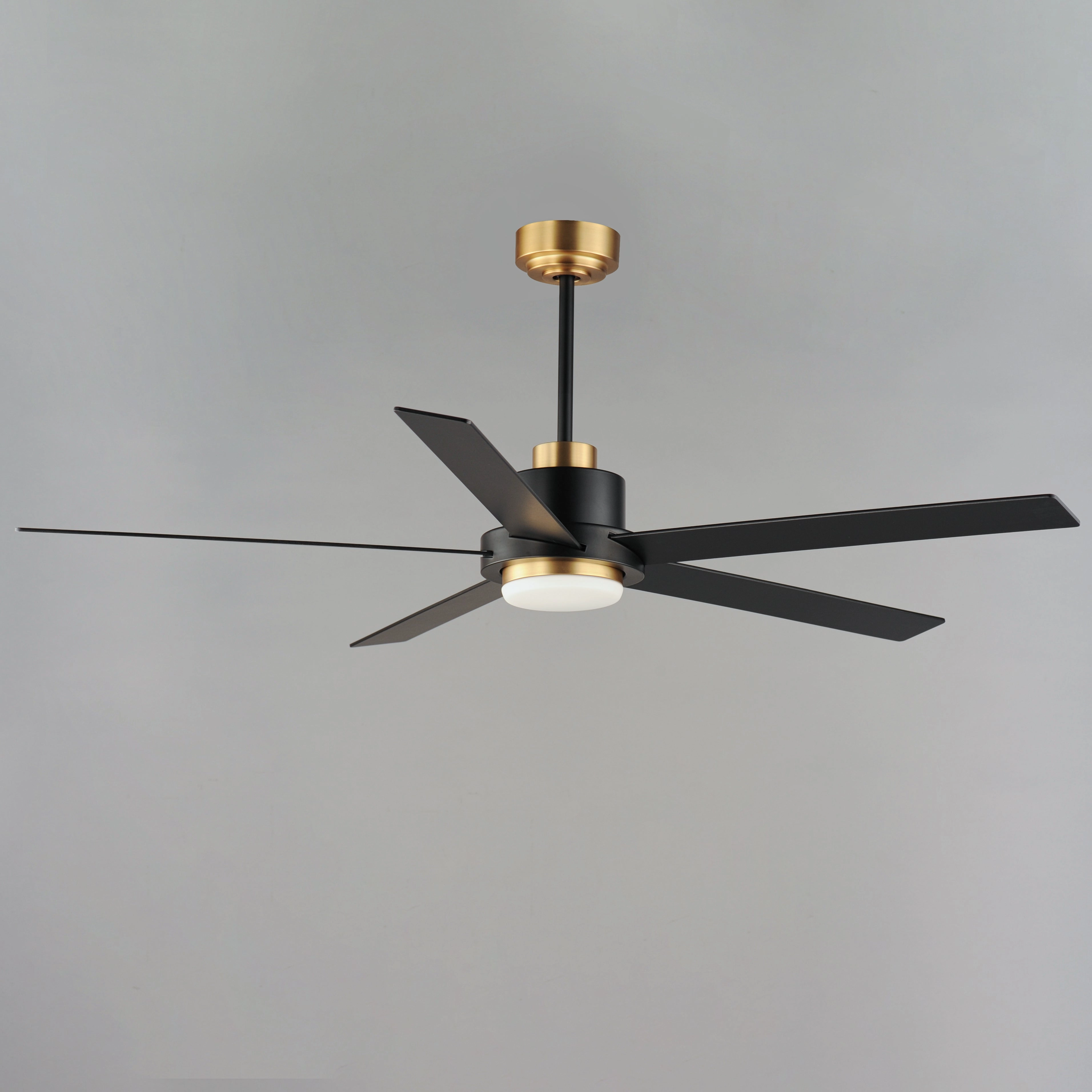 Daisy 60"Ceiling Fan Black / Gold