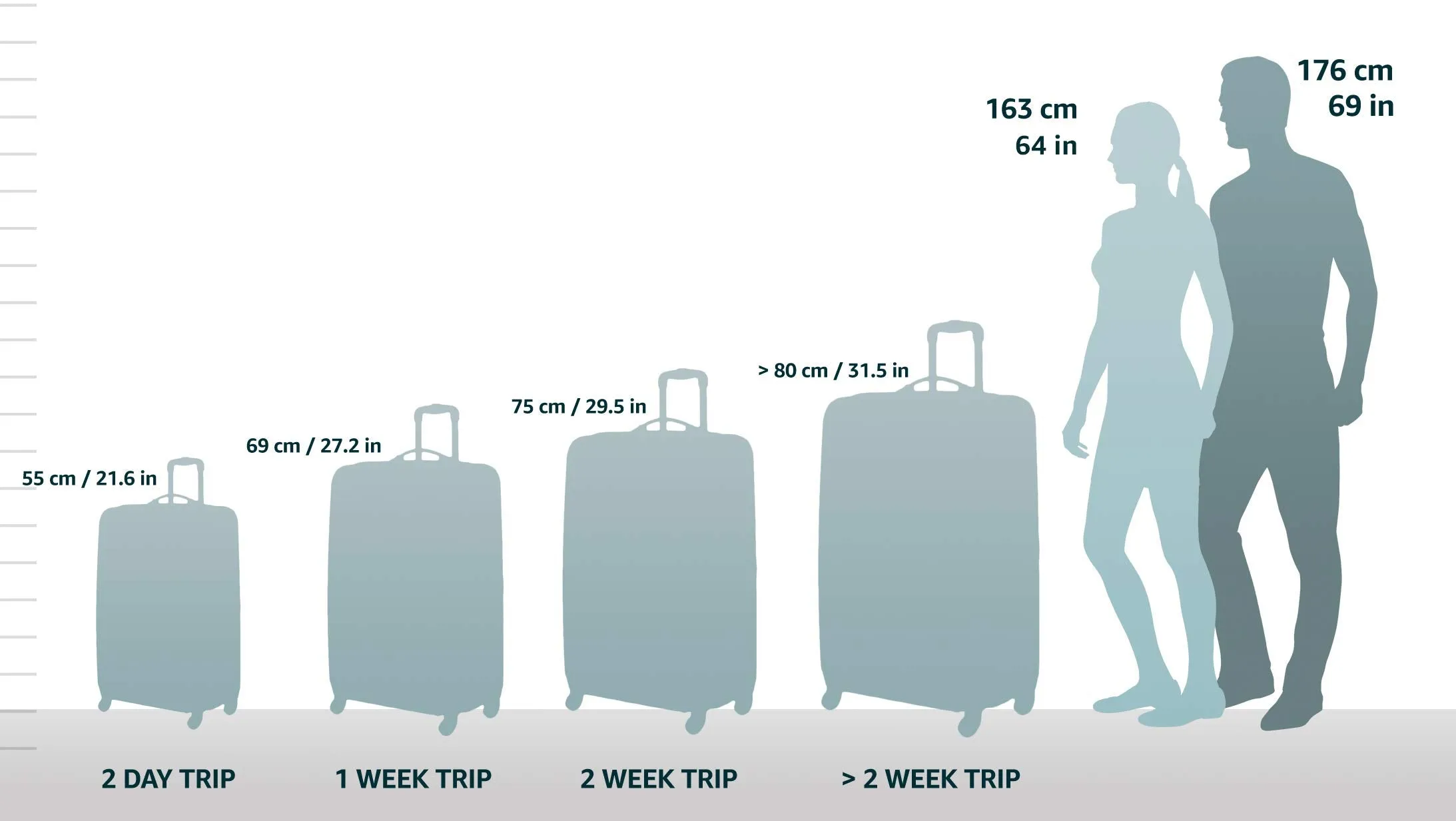 DELSEY Paris Belfort Plus 26 Spinner Trolley Bags Delsey-Paris