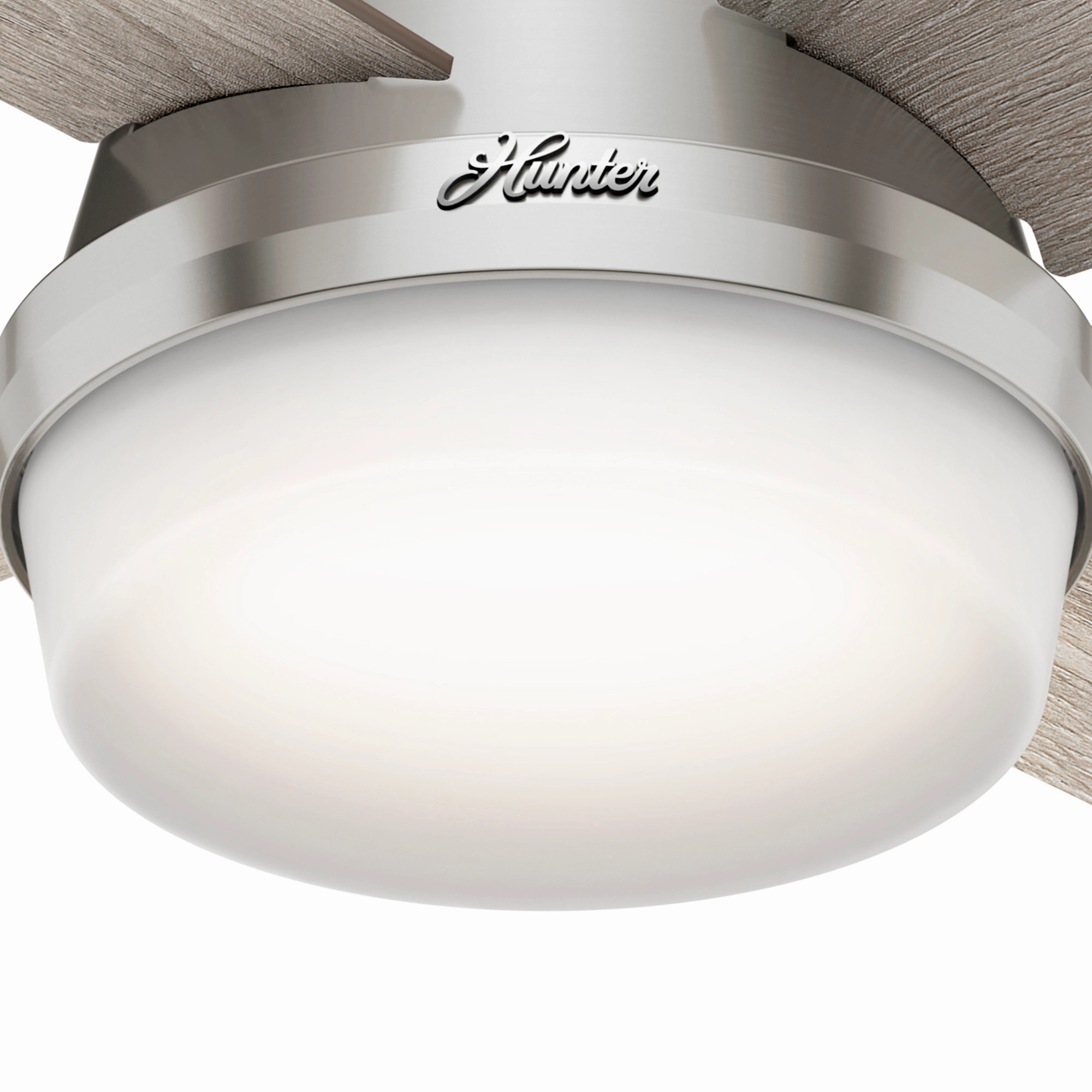Dempsey 44"Ceiling Fan Brushed Nickel