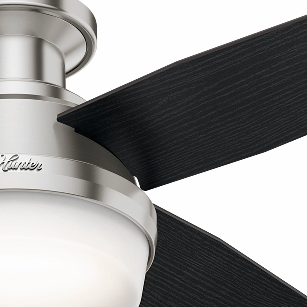 Dempsey 44"Ceiling Fan Brushed Nickel