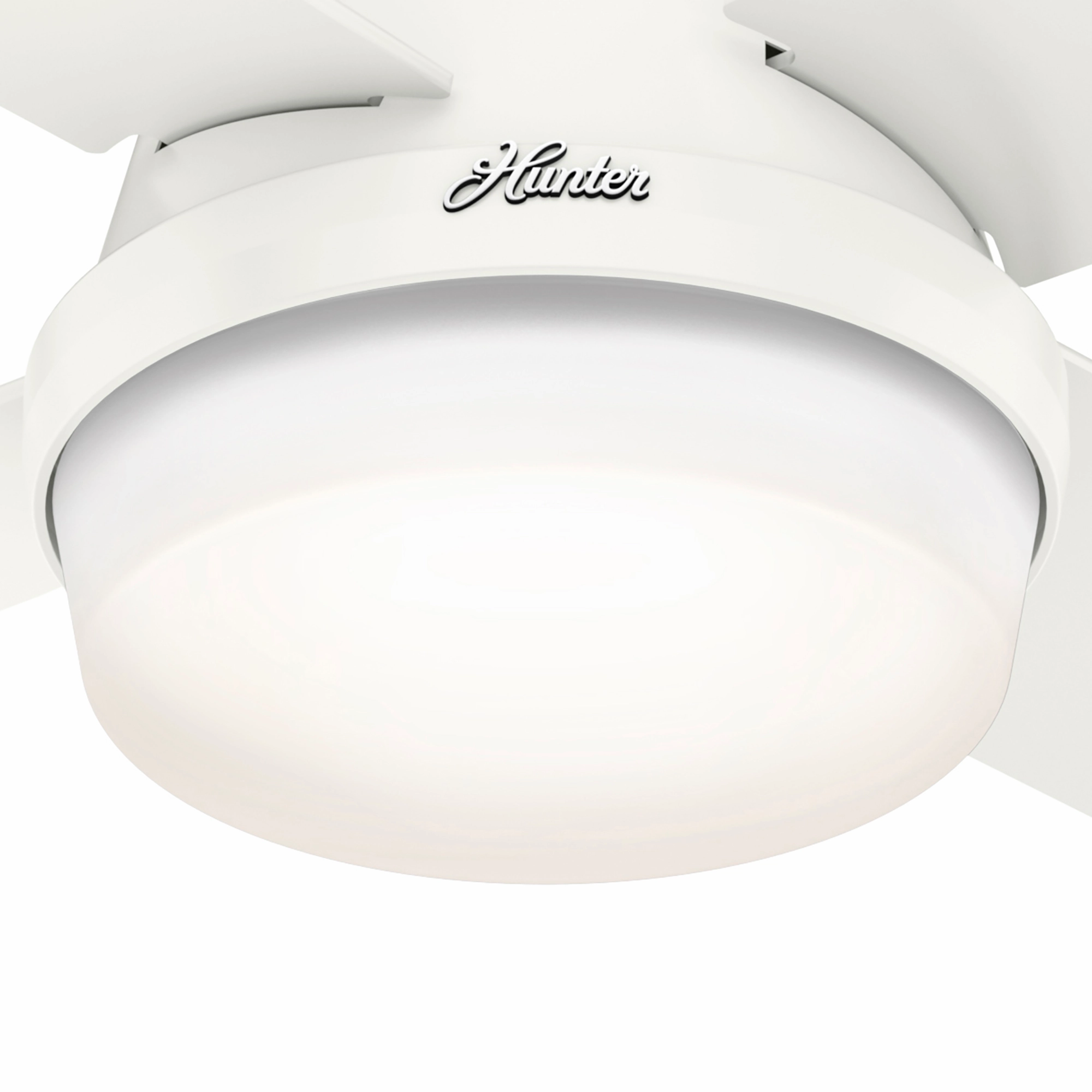 Dempsey 44"Ceiling Fan Fresh White