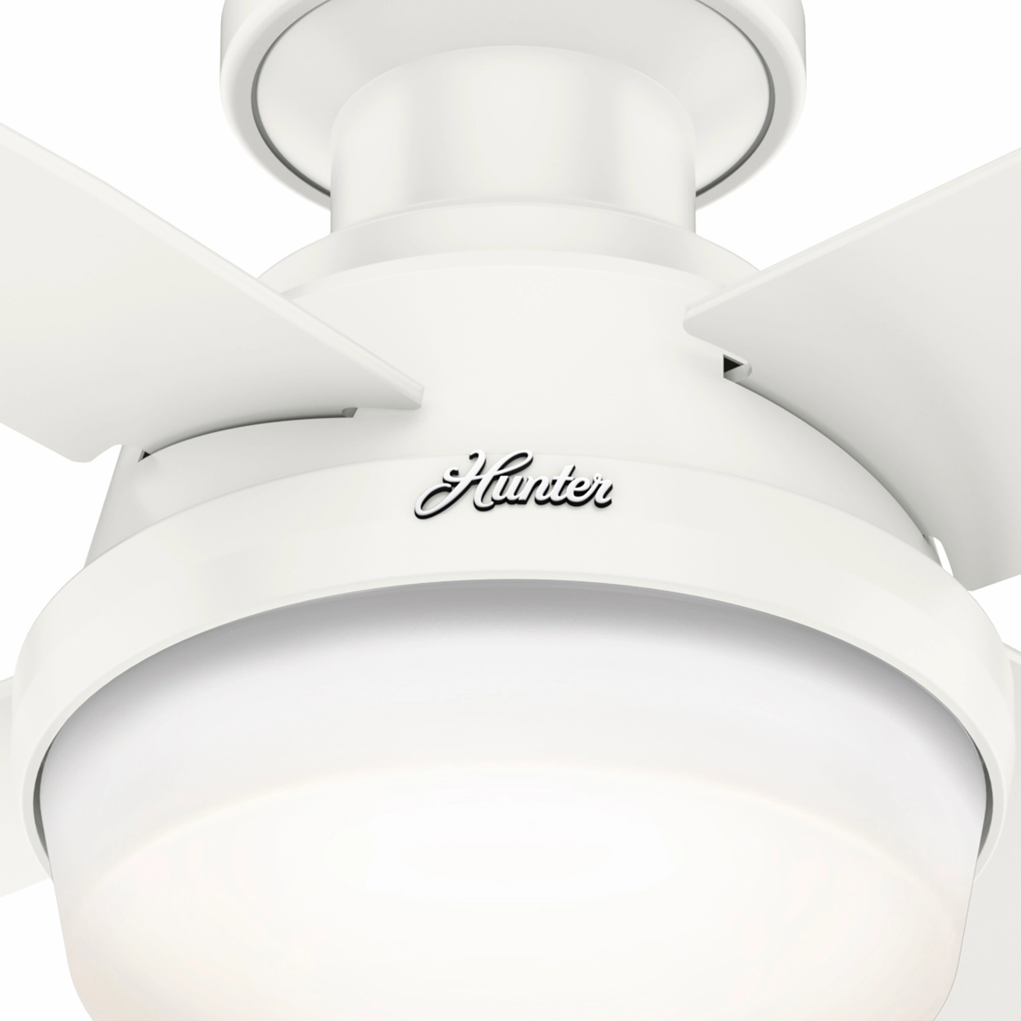 Dempsey 44"Ceiling Fan Fresh White