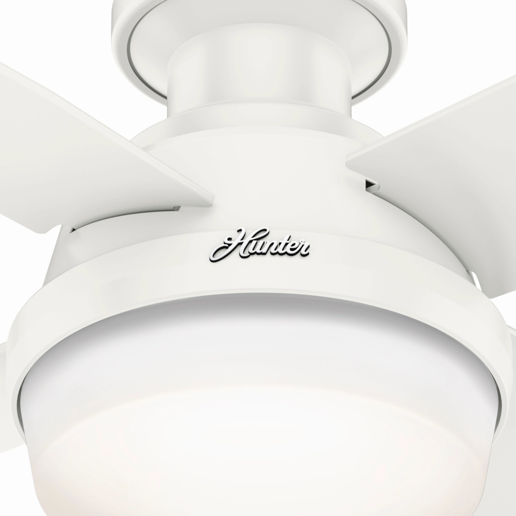 Dempsey 44"Ceiling Fan Fresh White