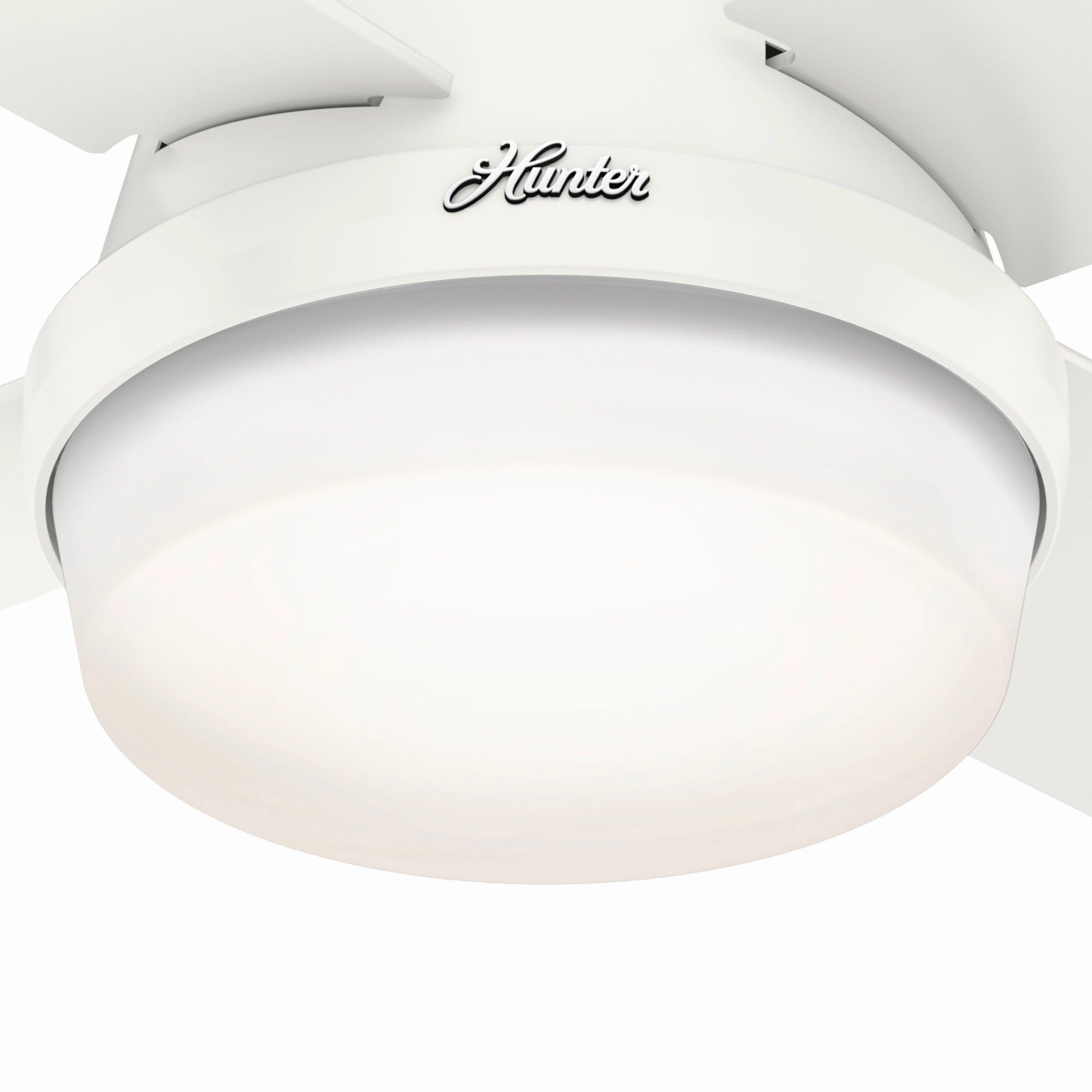 Dempsey 44"Ceiling Fan Fresh White