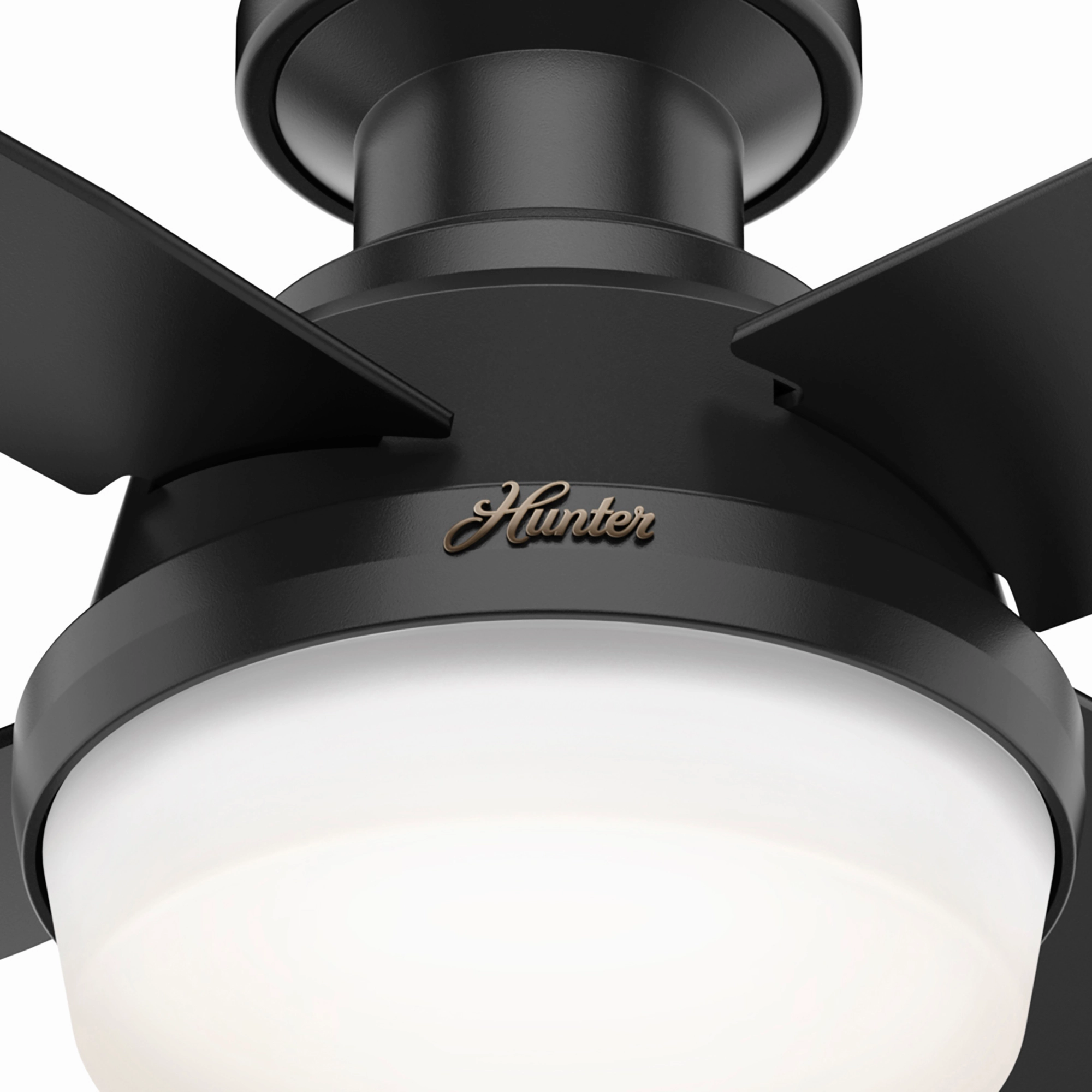 Dempsey 44"Ceiling Fan Matte Black