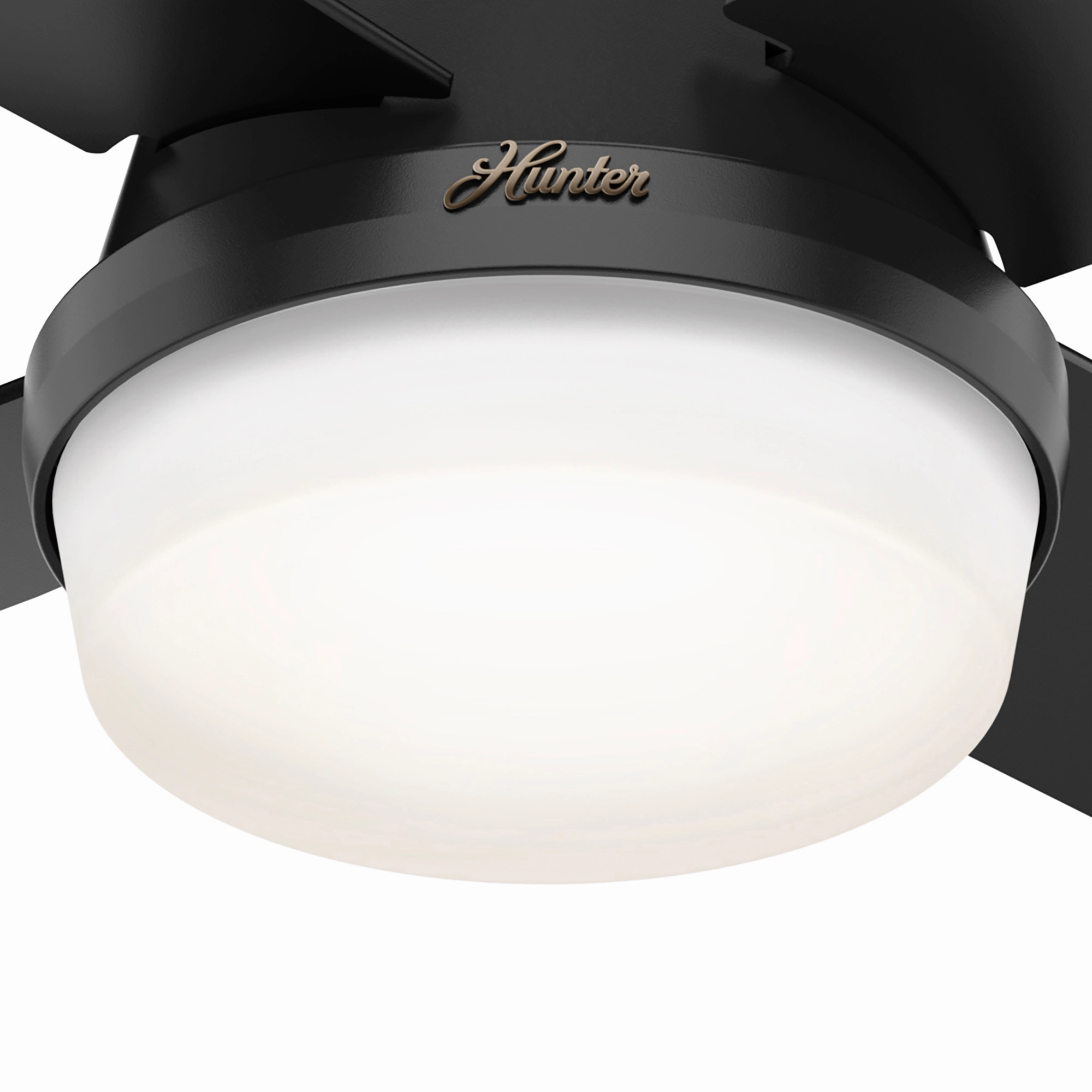 Dempsey 44"Ceiling Fan Matte Black