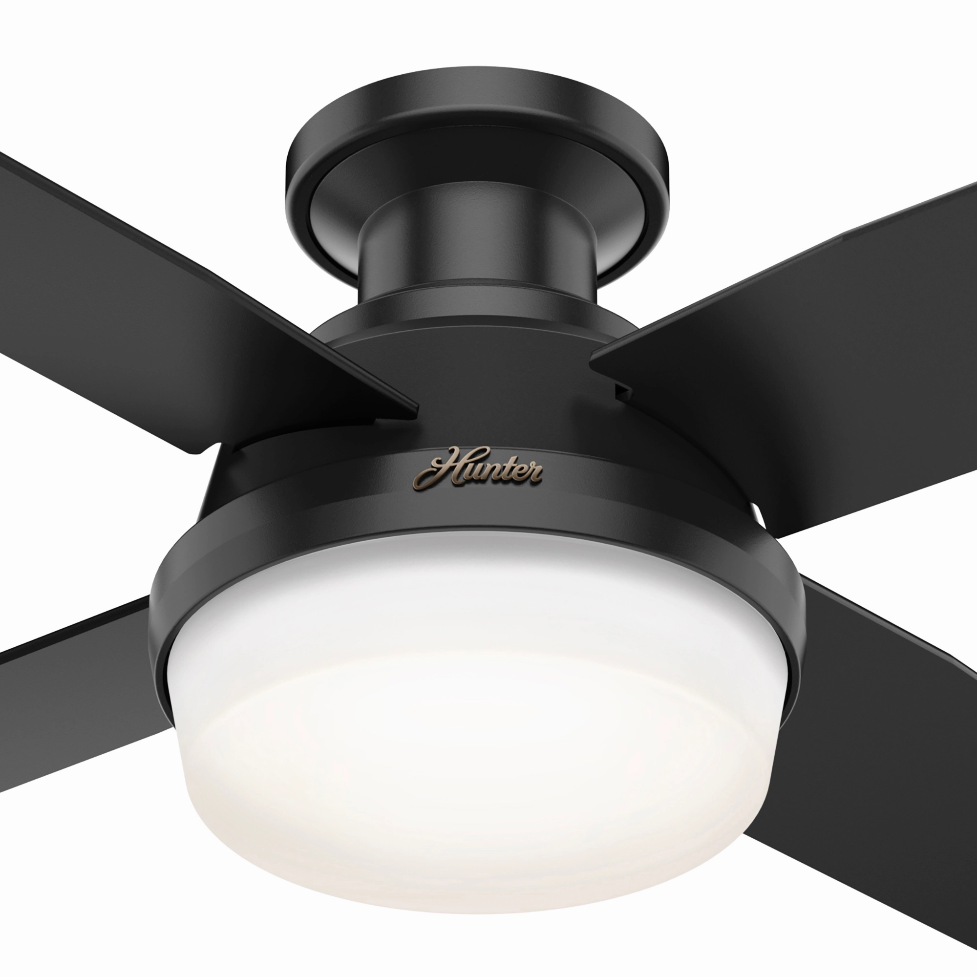 Dempsey 44"Ceiling Fan Matte Black