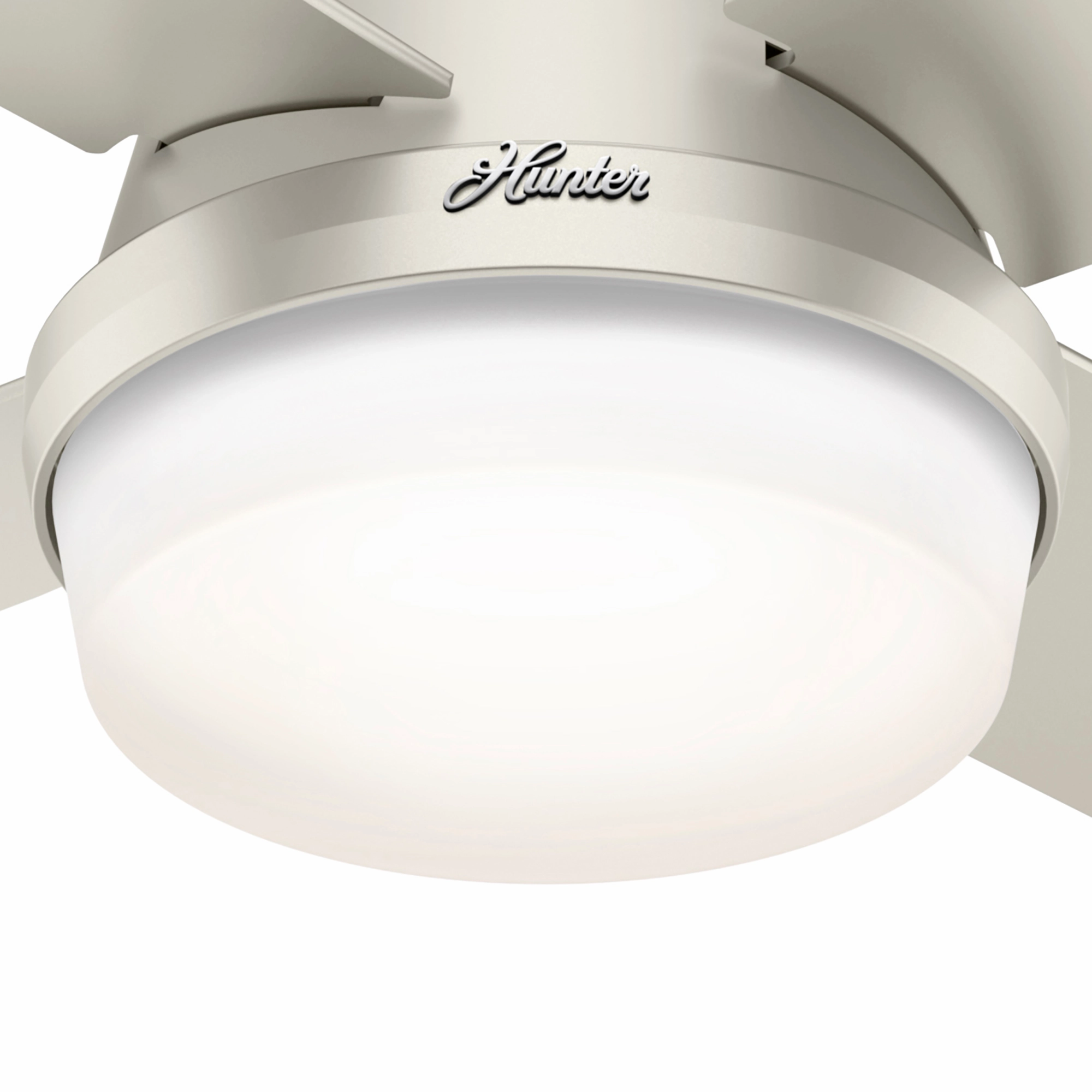 Dempsey 44"Ceiling Fan Matte Nickel