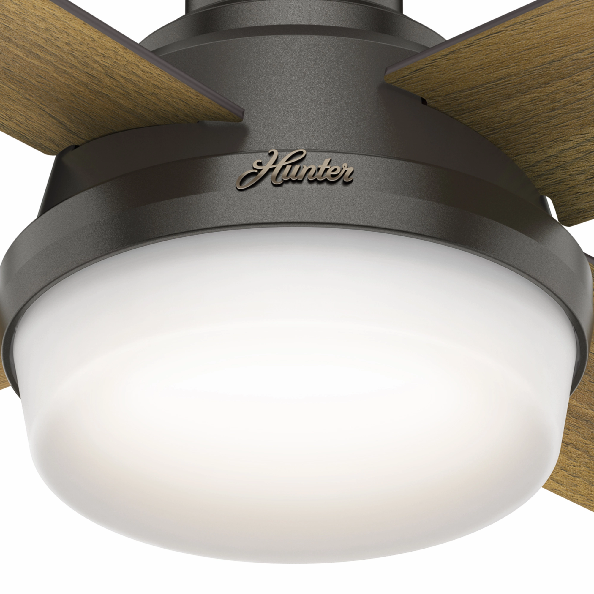 Dempsey 44"Ceiling Fan Noble Bronze