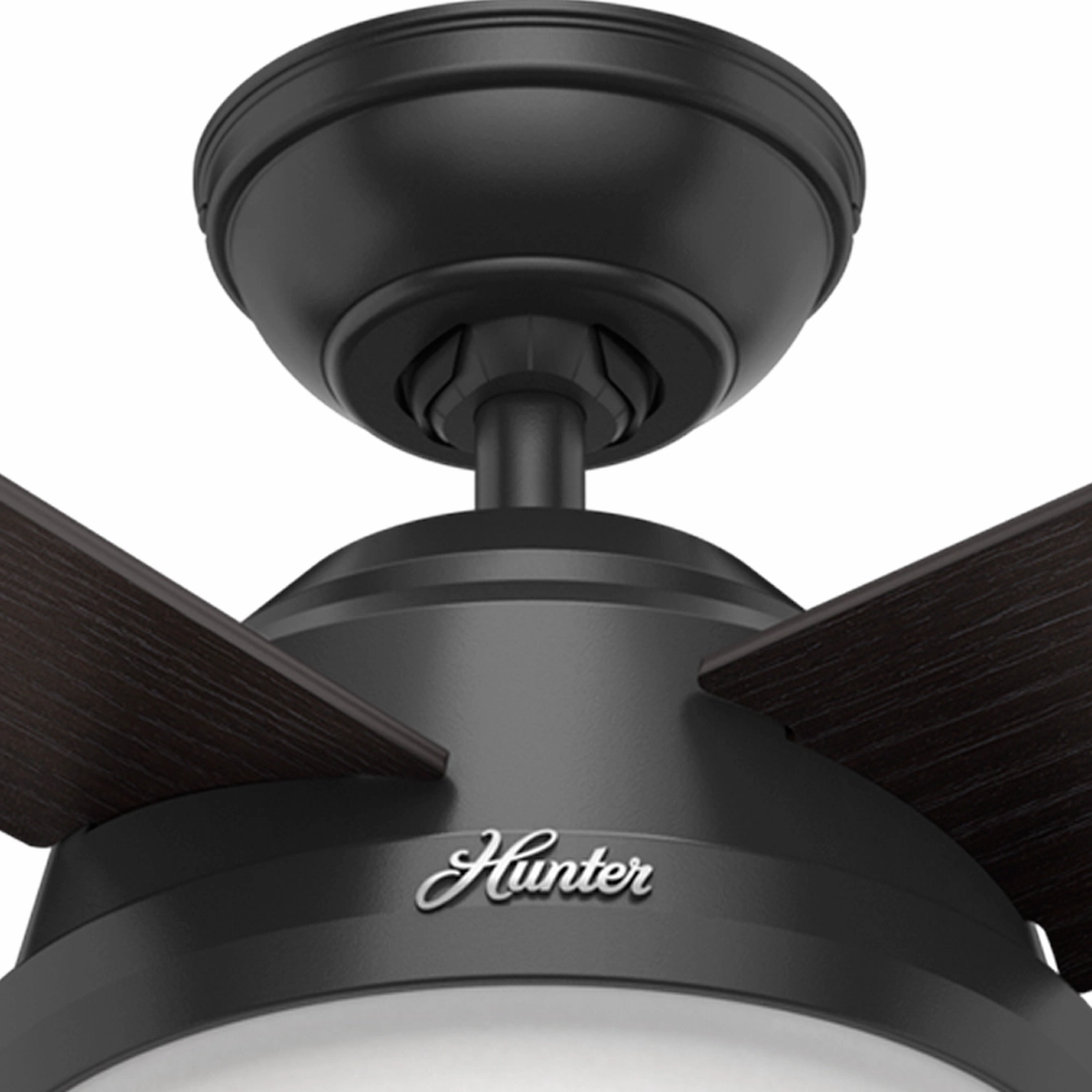 Dempsey 52"Ceiling Fan Matte Black