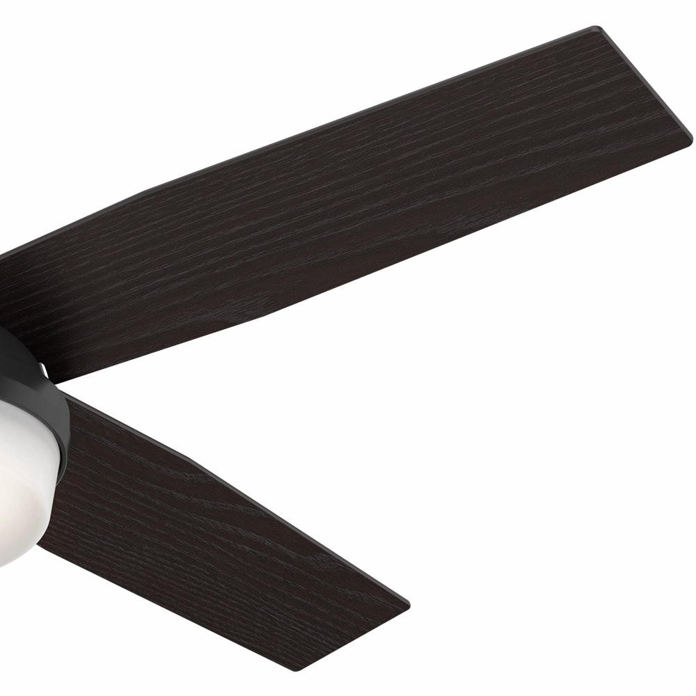 Dempsey 52"Ceiling Fan Matte Black