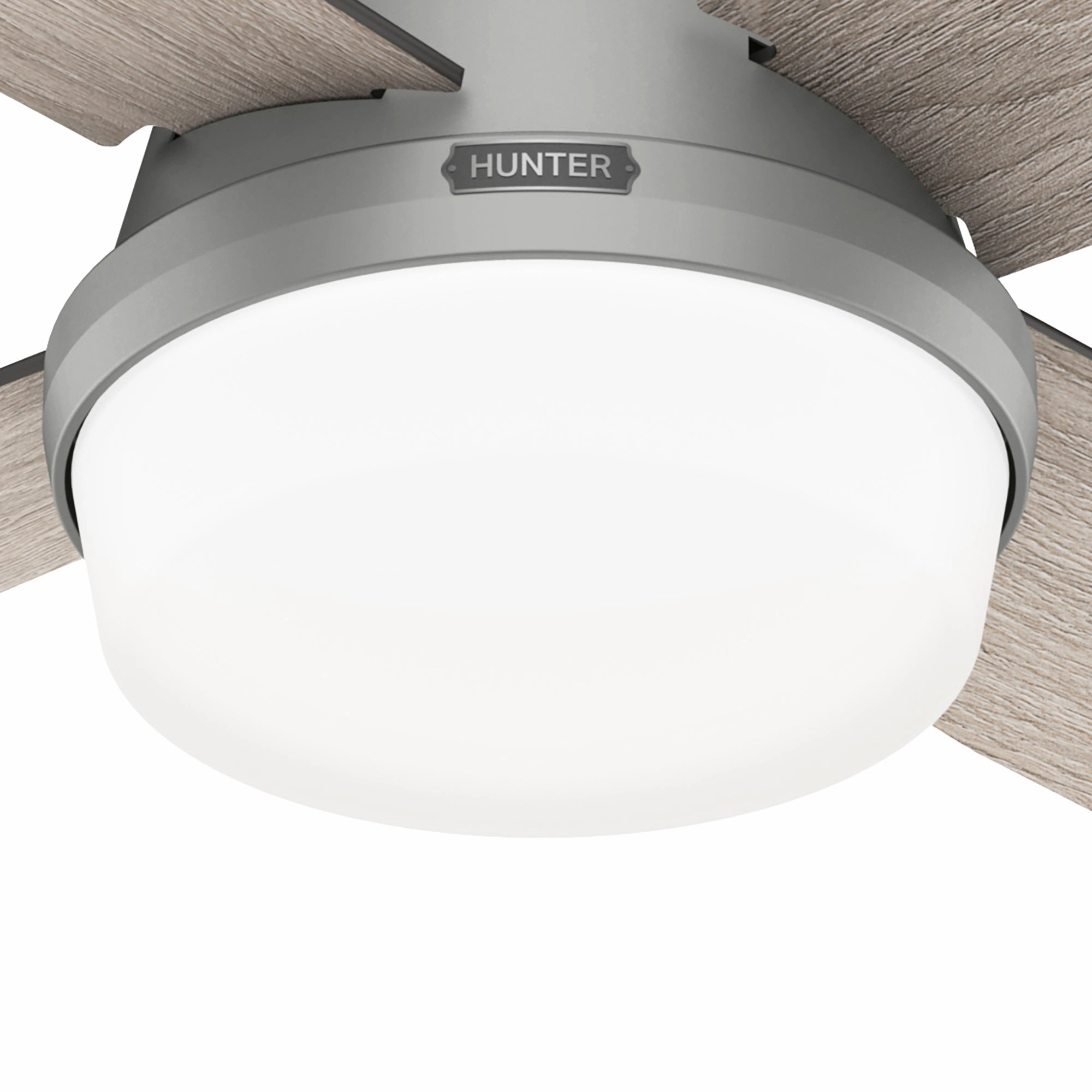 Dempsey 52"Ceiling Fan Matte Silver