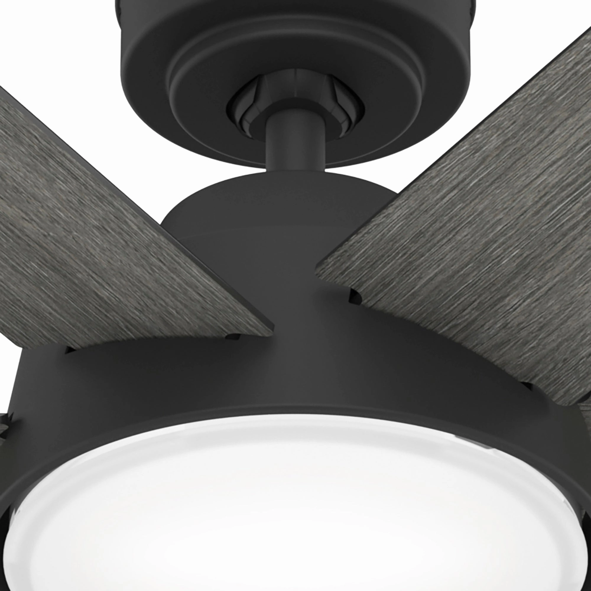 Donatella 52"Ceiling Fan Matte Black