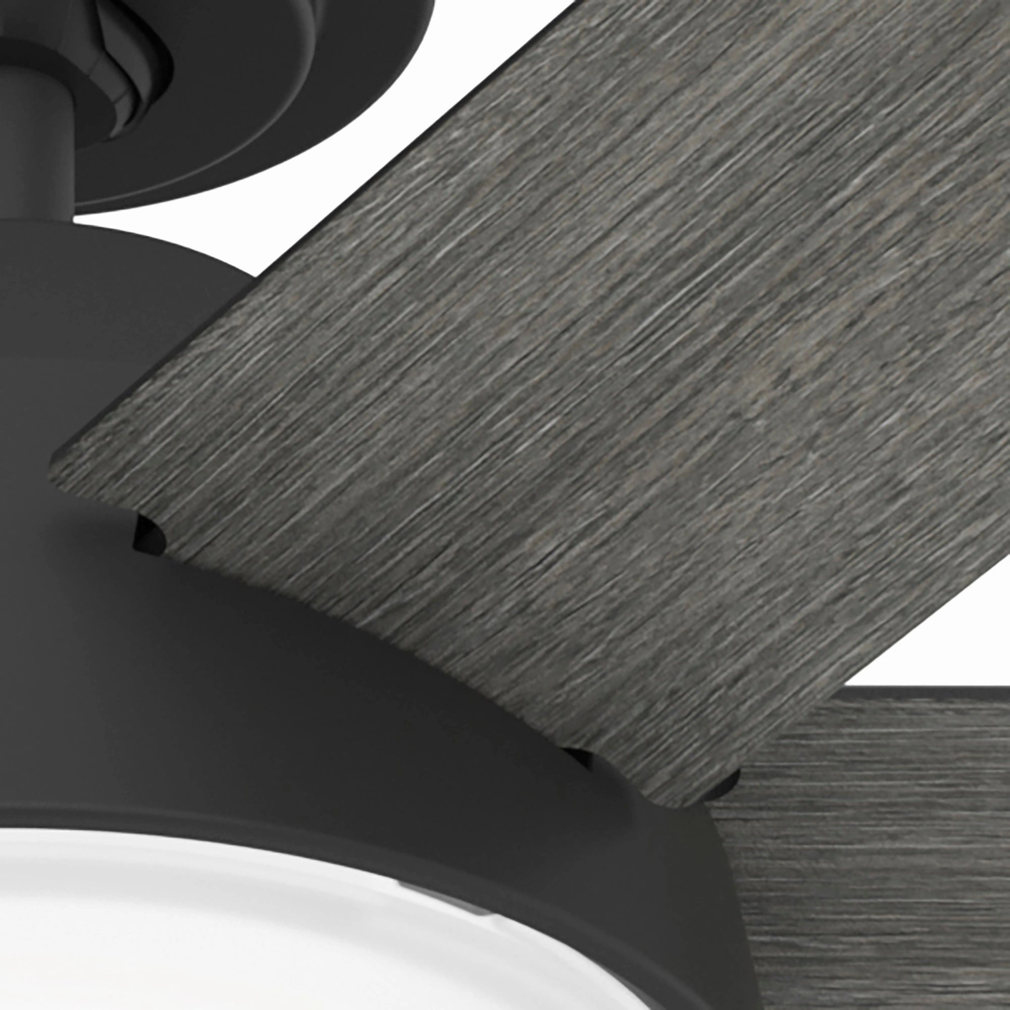 Donatella 52"Ceiling Fan Matte Black