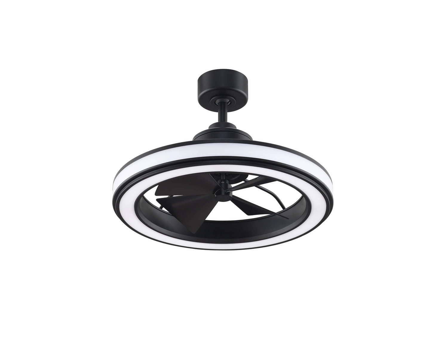 Fanimation 16" Gleam Indoor/Outdoor Fandelier Ceiling Fan with 20W LED Light and Remote Control outdoor fans store with multiple collections
