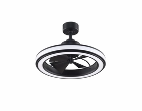 Fanimation 16" Gleam Indoor/Outdoor Fandelier Ceiling Fan with 20W LED Light and Remote Control Ceiling fan with adjustable speed settings