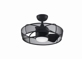 Fanimation Henry 20" Fandelier with 18W LED Light and Remote Control outdoor fans store with multiple collections
