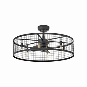 Finnigan 30" LED Fandelier quiet ceiling fans with remote control